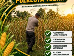 POLSEK TUBAN DUKUNG KETAHANAN PANGAN NASIONAL MELALUI PENGECEKAN TANAMAN JAGUNG