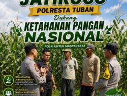 Dukung Astacita, Polsek Jatirogo Polresta Tuban Pantau Langsung Lahan Jagung milik warga Desa Ketodan