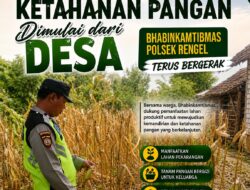 Polri Dukung Astacita, Polsek Rengel Polres Tuban Turun Cek Tanaman Padi Warga di Desa Maibit