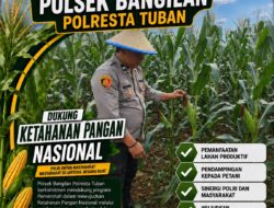MONITORING KETAHANAN PANGAN TANAMAN JAGUNG DI WILAYAH KECAMATAN BANGILAN