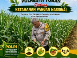 Polisi Polsek jenu Polres Tuban Turun ke Ladang, Dampingi Petani Jagung Dukung Ketahanan Pangan