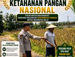 Polsek Soko Polresta Tuban Turun Langsung Cek Tanaman Jagung Warga