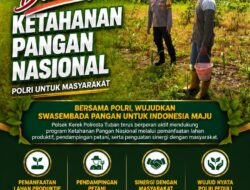 Polisi Polsek jenu Polres Tuban Turun ke Ladang, Dampingi Petani Jagung Dukung Ketahanan Pangan