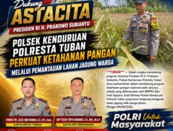 Dukung Astacita Presiden RI, Polsek Kenduruan Polresta Tuban Perkuat Ketahanan Pangan Melalui Pemantauan Lahan Jagung Warga
