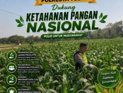 Polri Dukung Astacita, Polsek Semanding Polresta Tuban Turun Cek Tanaman jagung milik Warga di Desa Prunggahan wetan