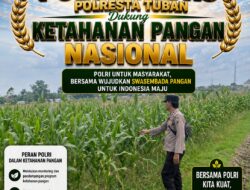 Polsek Soko Polresta Tuban Turun Langsung Cek Tanaman Jagung Warga
