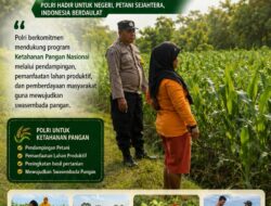 DALAM RANGKA MENDUKUNG PROGRAM ASTACITA, ANGGOTA POLSEK PARENGAN SAMBANGI PETANI JAGUNG DI DESA KUMPULREJO GUNA DUKUNG KETAHANAN PANGAN