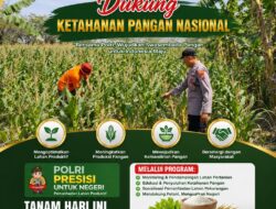 DUKUNG ASTA CITA, ANGGOTA POLSEK KEREK PANTAU AKTIVITAS PETANI JAGUNG DI DESA BINAAN
