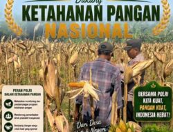Perkuat Ketahanan Pangan Nasional, Aipda Mariyono Bersama Warga Ngujuran Panen Jagung Raya