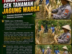 Polsek Soko Polresta Tuban Turun Langsung Cek Tanaman Jagung Warga