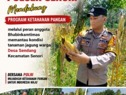 Guna Mendukung Ketahanan Pangan Nasional Anggota Bhabinkamtibmas Polsek Senori Polresta Tuban Monitoring Kondisi Tanaman Jagung di Desa Sendang