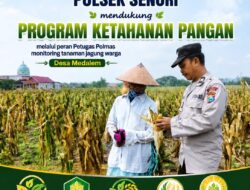 Mendukung Program Ketahanan Pangan Nasional Anggota Polmas Polsek Senori Polresta Tuban Memantau Tanaman Jagung Milik Warga Desa Medalem