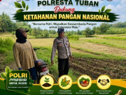 Dukung Astacita, Polsek Jatirogo Polresta Tuban Pantau Langsung Lahan Jagung milik warga Desa Bader