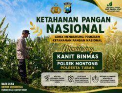 Polsek Montong Polresta Tuban Turun Cek Tanaman jagung Warga di Desa Ngulahan