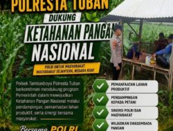 Polsek Tambakboyo Polres Tuban Turun Cek Tanaman jagung Warga di Desa Ngulahan