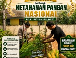 Polisi Polsek jenu Polres Tuban Turun ke Ladang, Dampingi Petani Jagung Dukung Ketahanan Pangan