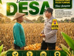 Polsek Plumpang Polresta Tuban Turun Langsung Cek Tanaman Jagung Warga