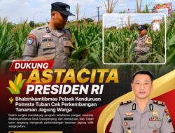 Dukung Astacita Presiden RI, Bhabinkamtibmas Polsek Kenduruan Polresta Tuban Cek Perkembangan Tanaman Jagung Warga