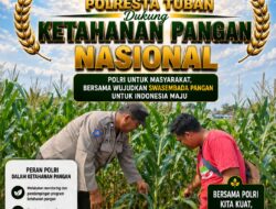 Dukung Astacita, Polsek Palang Polresta Tuban Pantau Langsung Lahan Jagung milik warga Desa Wangun