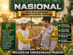 Polsek Plumpang Polresta Tuban Turun Langsung Cek Tanaman Jagung Warga
