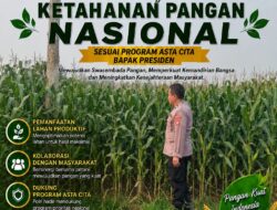 Polri Dukung Astacita, Polsek Merakurak Polres Tuban Turun Cek Tanaman Jagung Warga di Desa Tuwiri Wetan