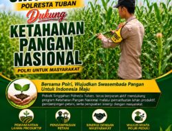Polsek Singgahan Polresta Tuban Turun Cek Tanaman jagung Warga di Desa Mulyorejo