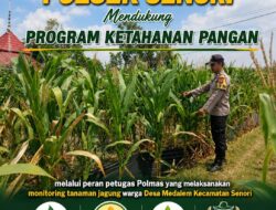 Polisi RW Polsek Senori Polresta Tuban Monitoring Tanaman Jagung Milik Warga Desa Medalem Guna Mendukung Program Ketahanan Pangan