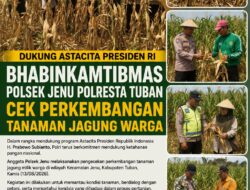 Dukung Astacita Presiden RI, Bhabinkamtibmas Polsek Jenu Polresta Tuban Cek Perkembangan Tanaman Jagung Warga