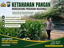 Polsek Montong Polresta Tuban Turun Cek Tanaman jagung Warga di Desa Pucangan