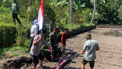 Babinsa Dampingi Tabela, Petani Suranadi Dorong Pertanian Modern