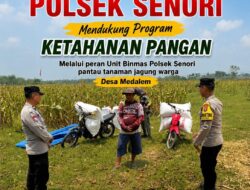 Mendukung Program Ketahanan Pangan Nasional Anggota Unit Binmas Polsek Senori Polresta Tuban Memantau Tanaman Jagung Milik Warga Desa Medalem
