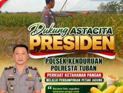 Dukung Astacita Presiden, Polsek Kenduruan Polresta Tuban Perkuat Ketahanan Pangan Melalui Pendampingan Petani Jagung