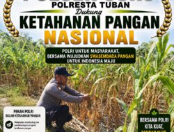 Polsek Soko Polresta Tuban Turun Langsung Cek Tanaman Jagung Warga