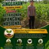 Polsek Singgahan Polresta Tuban Turun Cek Tanaman jagung Warga di Desa Tingkis
