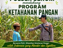Mendukung Program Ketahanan Pangan Nasional Anggota Bhabinkamtibmas Polsek Senori Polresta Tuban Monitoring Tanaman Jagung Warga Desa Leran