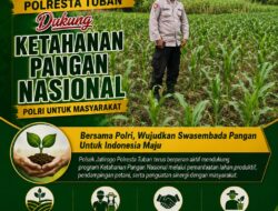 Dukung Asta Cita, Polsek Jatirogo Turun Langsung Pantau Ladang Jagung Warga Desa Besowo