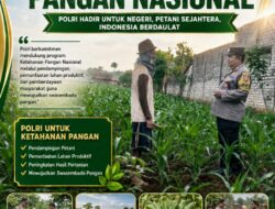 DUKUNG ASTA CITA, BHABINKAMTIBMAS DESA MARGOREJO KECAMATAN KEREK PANTAU AKTIVITAS PETANI JAGUNG DI DESA BINAAN