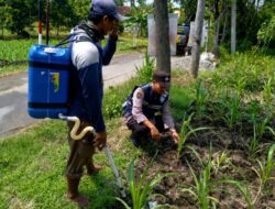 Dukung Astacita Presiden RI, Bhabinkamtibmas Polsek Jenu Polresta Tuban Cek Perkembangan Tanaman Jagung Warga