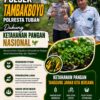 Polsek Tambakboyo Polres Tuban Turun Cek Tanaman jagung Warga di Desa Ngulahan
