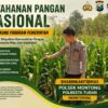 Polsek Montong Polresta Tuban Turun Cek Tanaman jagung Warga di Desa Bringin