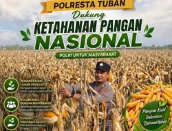 POLSEK BANCAR WUJUDKAN KETAHANAN PANGAN NASIONAL MELALUI SINERGI DENGAN PETANI JAGUNG DESA NGAMPELREJO