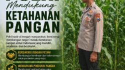 Polsek Singgahan Polresta Tuban Turun Cek Tanaman jagung Warga di Desa Tingkis