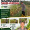 Dukung Astacita Presiden, Polsek Kenduruan Polresta Tuban Pantau Perkembangan Tanaman Jagung Warga