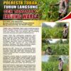 Polsek Soko Polresta Tuban Turun Langsung Cek Tanaman Jagung Warga