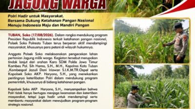 Polsek Soko Polresta Tuban Turun Langsung Cek Tanaman Jagung Warga