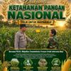 Polsek Plumpang Polresta Tuban Turun Langsung Cek Tanaman Jagung Warga