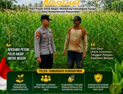 Polsek Tambakboyo Polres Tuban Turun Cek Tanaman jagung Warga di Desa Ngulahan