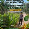 Polri Dukung Astacita, Polsek Semanding Polresta Tuban Turun Cek Tanaman jagung milik Warga di Desa Ngino