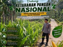 Polri Dukung Astacita, Polsek Semanding Polresta Tuban Turun Cek Tanaman jagung milik Warga di Desa Ngino