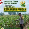 Mendukung Program Ketahanan Pangan Nasional Anggota Bhabinkamtibmas Polsek Senori Polresta Tuban Monitoring Tanaman Jagung Warga Desa Jatisari
